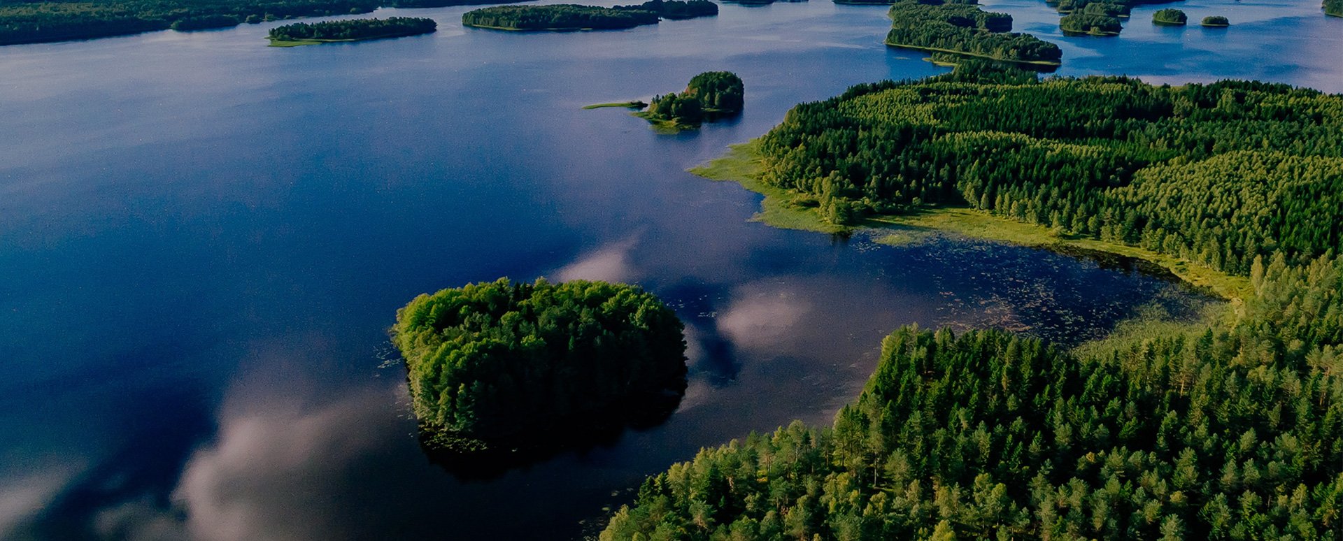 年度企業永續行動
