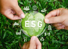 Sustainable Management